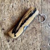 Glouton - Ebène Royal