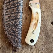 Georges Muller - Phacochère Fixe