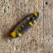 Coubi - Banksia stabilisé Jaune