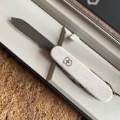 Damas Limited Edition 2025